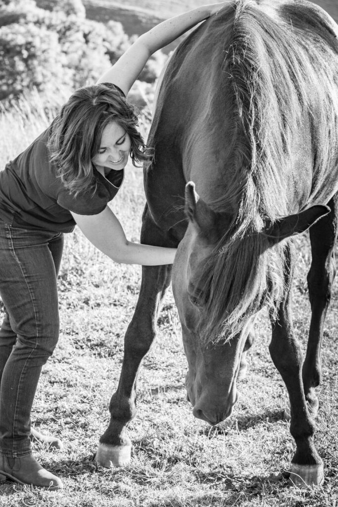 traitement chevaux camille bayol